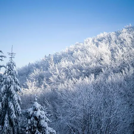 Poniwiec Mala Czantoria
