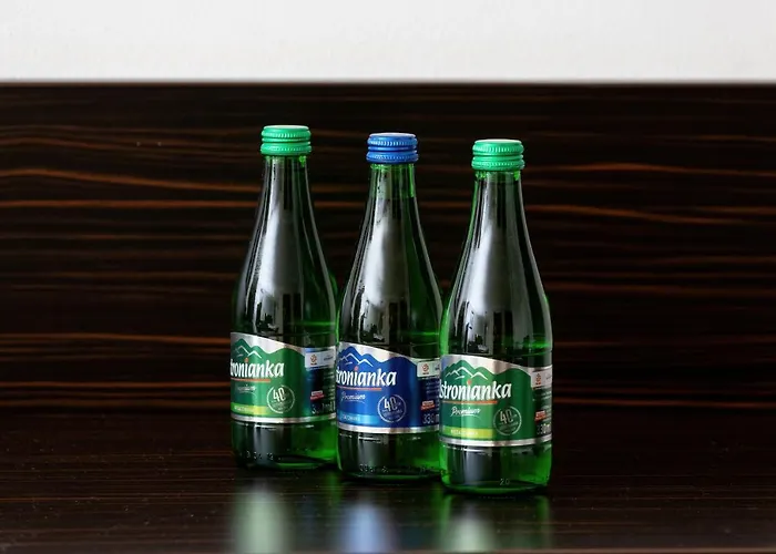 Poniwiec Mala Czantoria Bed & Breakfast 3*