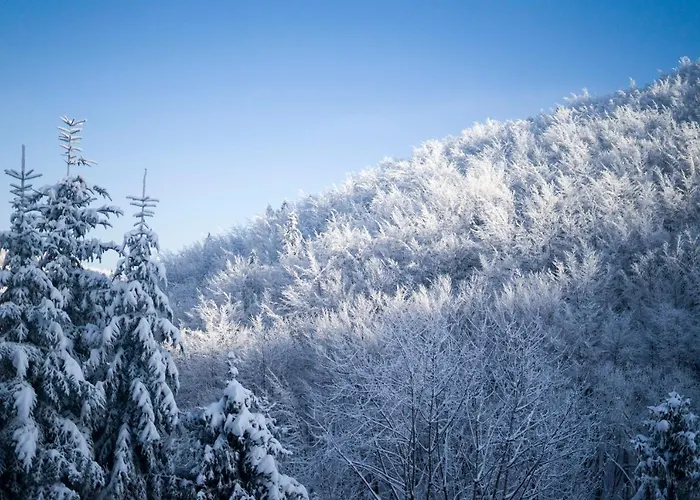 Poniwiec Mala Czantoria